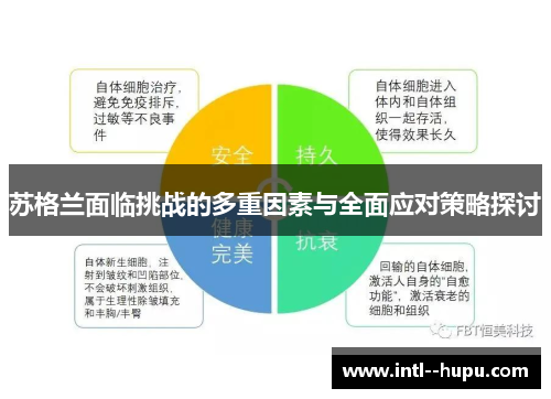 苏格兰面临挑战的多重因素与全面应对策略探讨