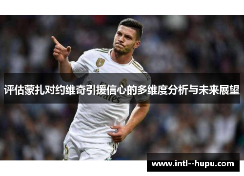 评估蒙扎对约维奇引援信心的多维度分析与未来展望